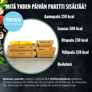 1250 kcal/päivä - 3 päivän ateriat - 25 euroa per päivä