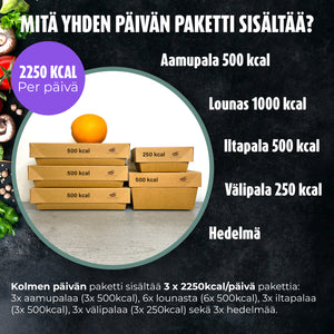 2250 kcal/päivä - 3 päivän ateriat - 29 euroa per päivä